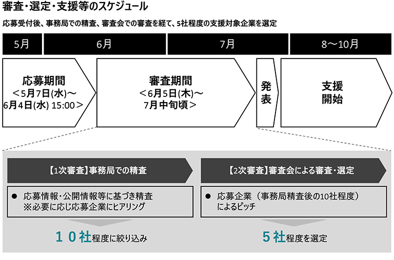審査・選定等のスケージュール